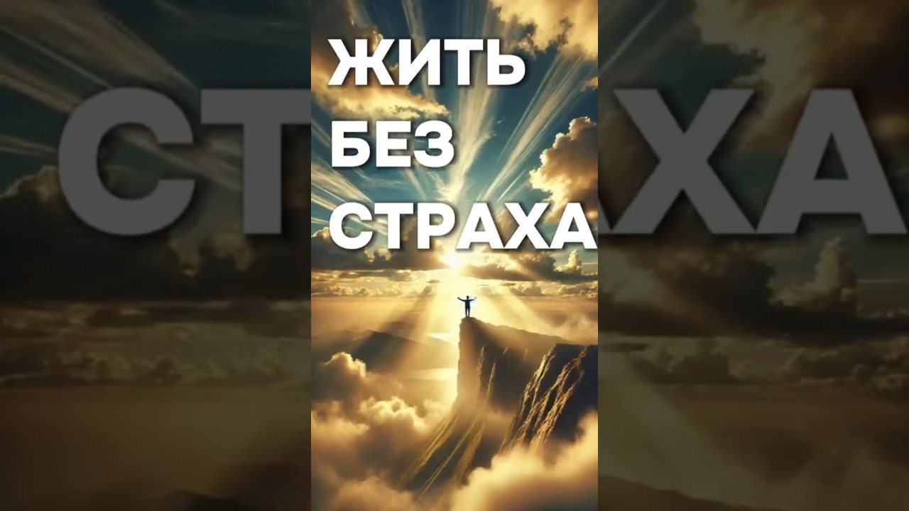 Превью: Свобода от страха